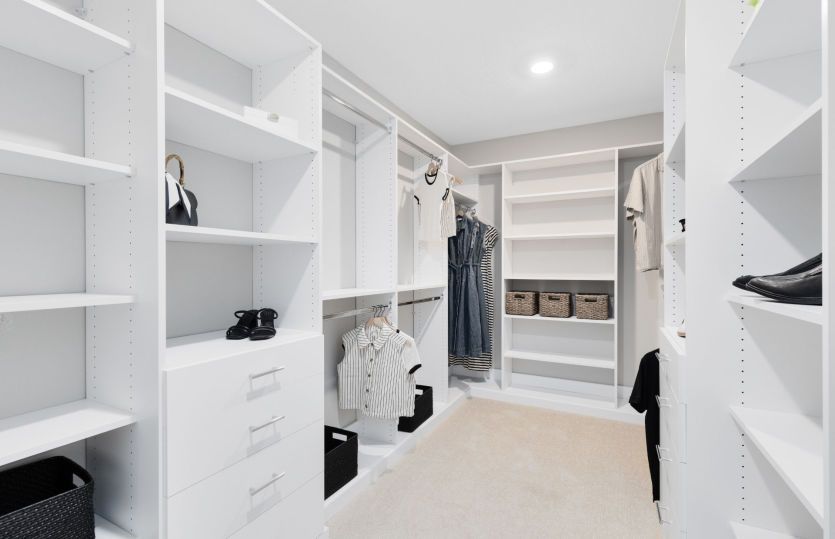 Organized and Elevated