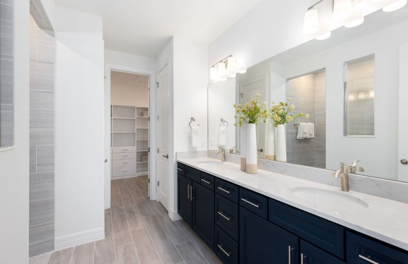 Modern Look, Practical Use