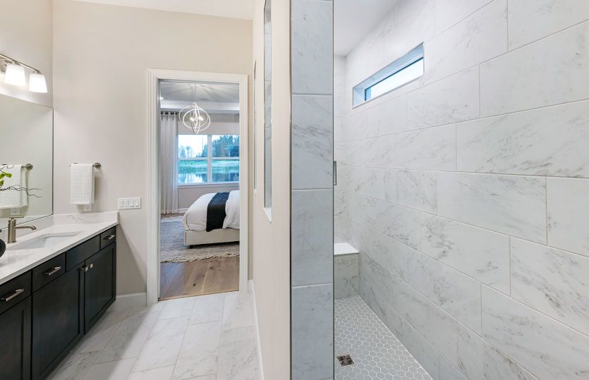 Primary Walk-In Shower