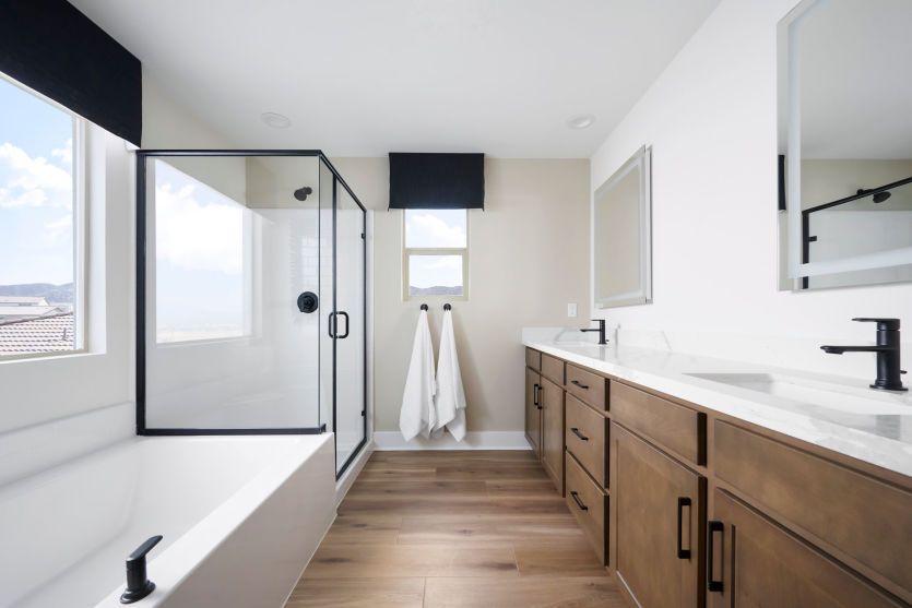 Owner's Bathroom