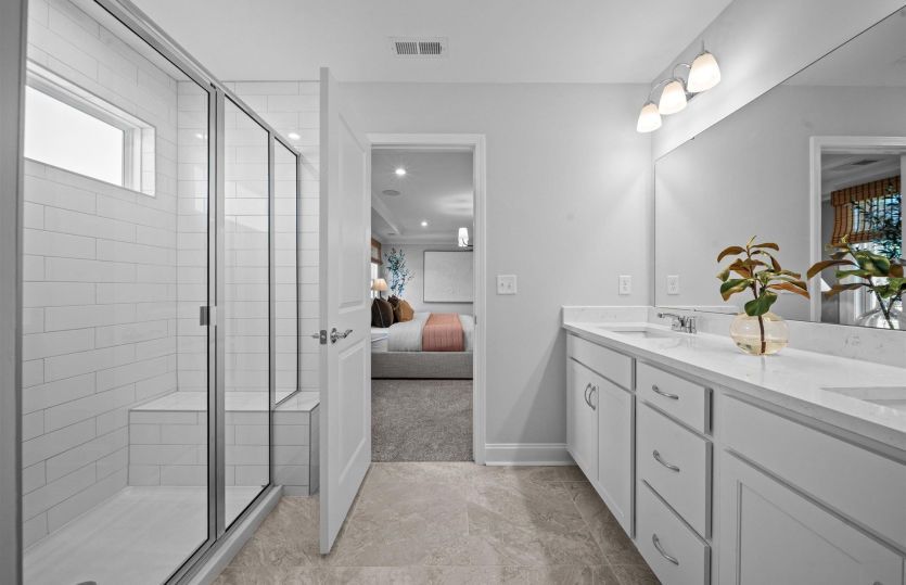 Owner's Bath