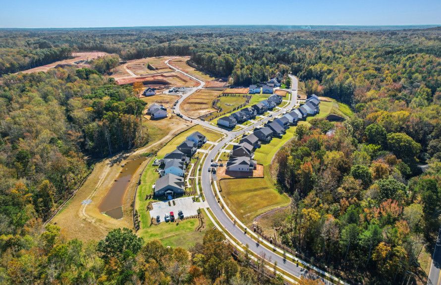 Welcome to Forest Creek!