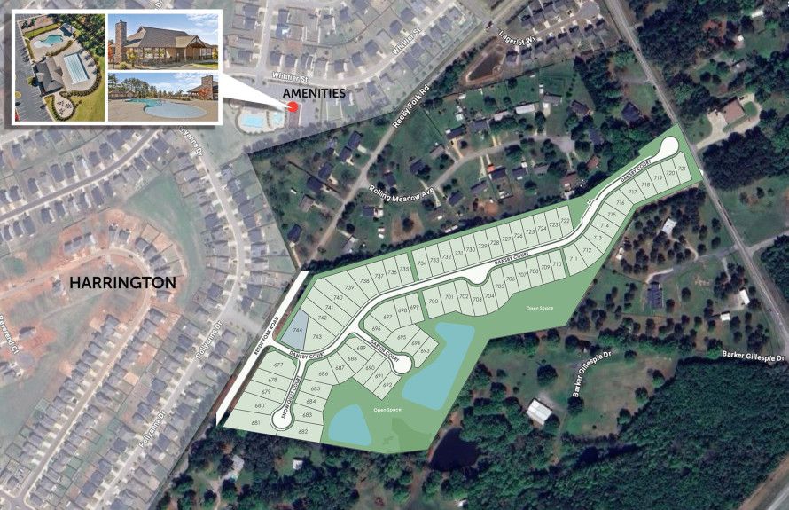 Harrington - Greenville, SC