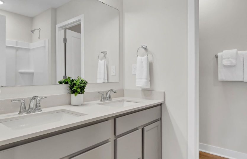 Owner's Bath