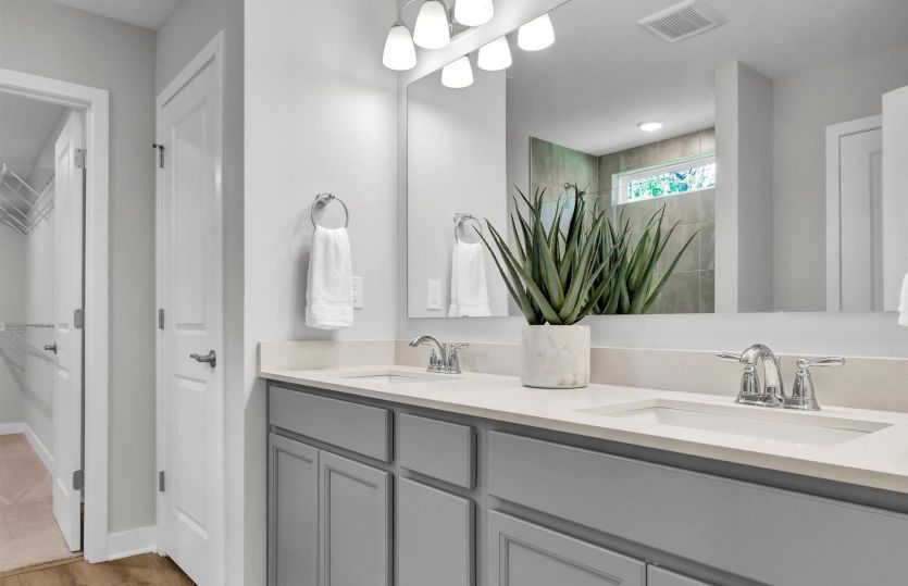Owner's Bath