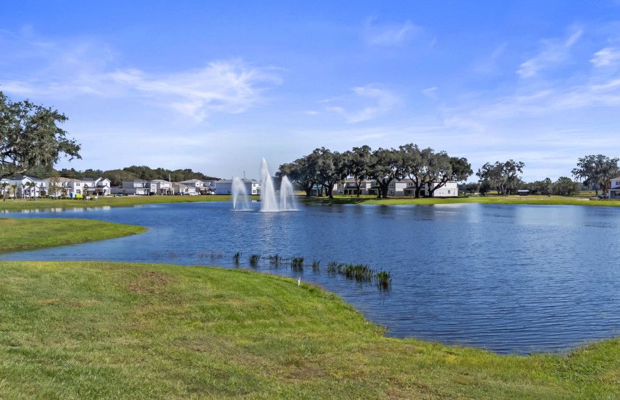 Beautiful, Relaxing Views