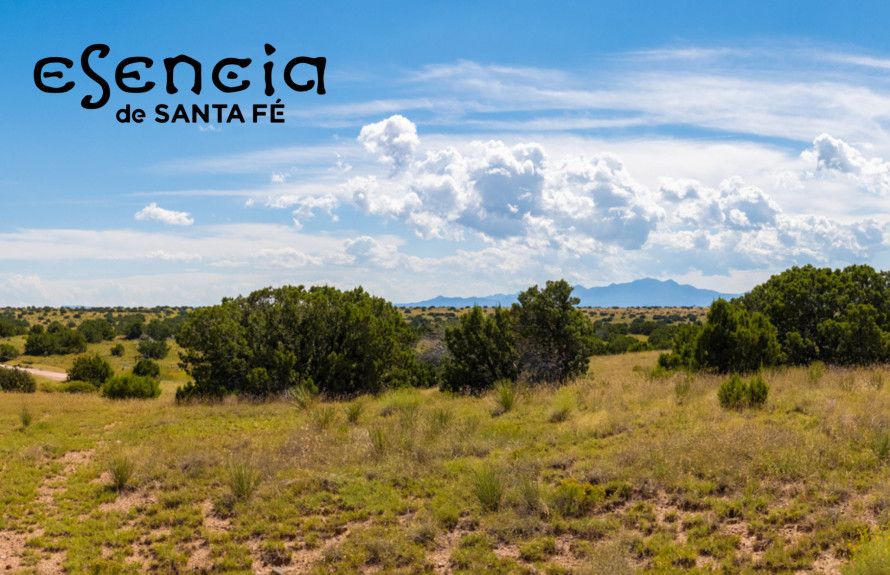 casa en Esencia por Pulte Homes