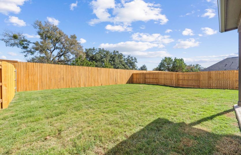 Backyard