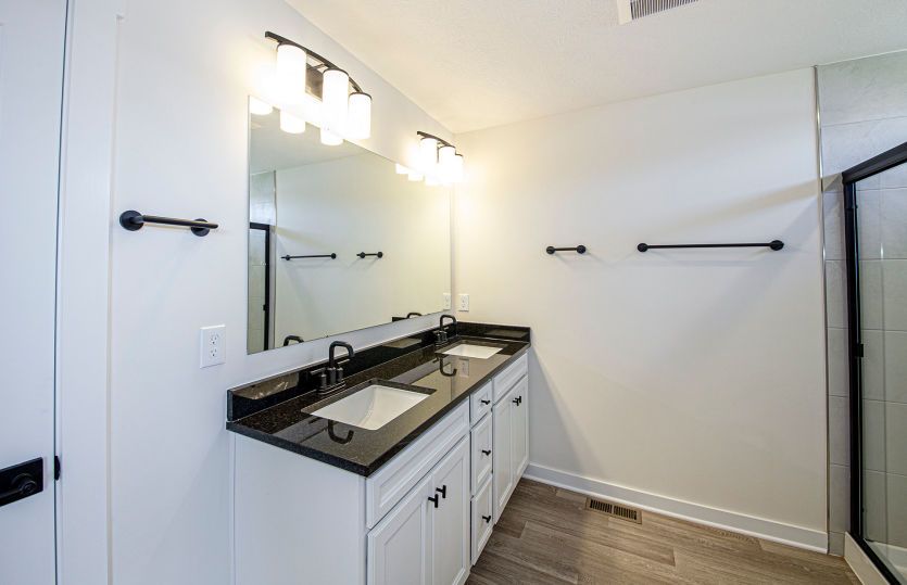 Owner's Bath