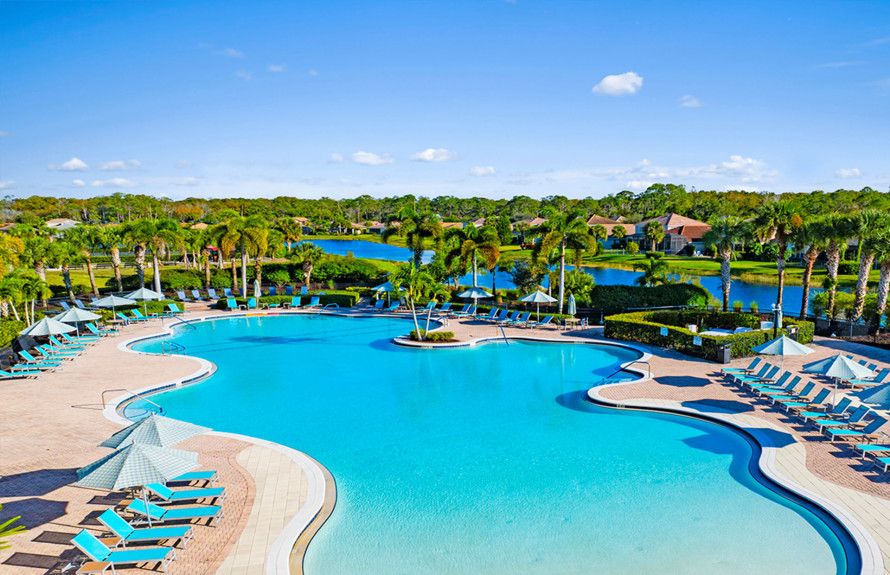 Lagoon Style Pool