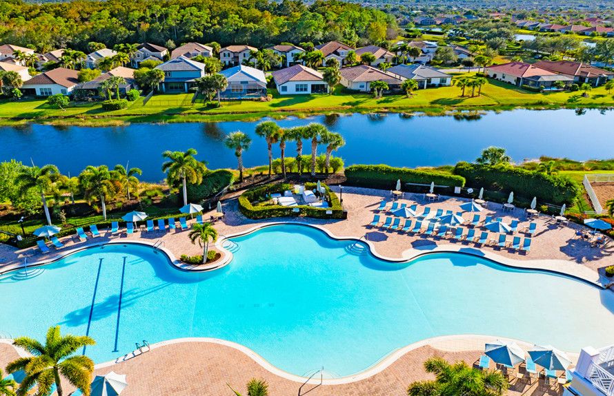 Lagoon Style Pool