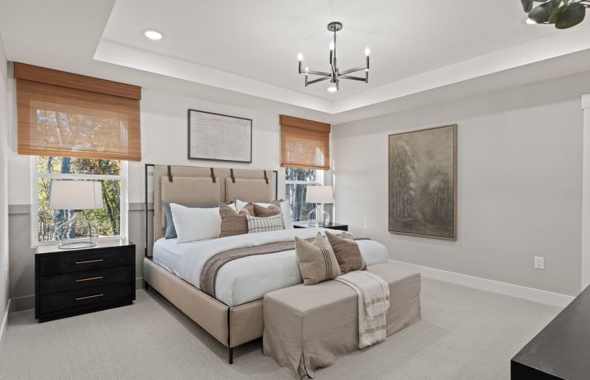 Owner's Suite with Tray Ceiling