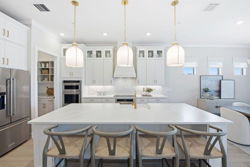 Sleek Finishes, Gourmet-Ready Space