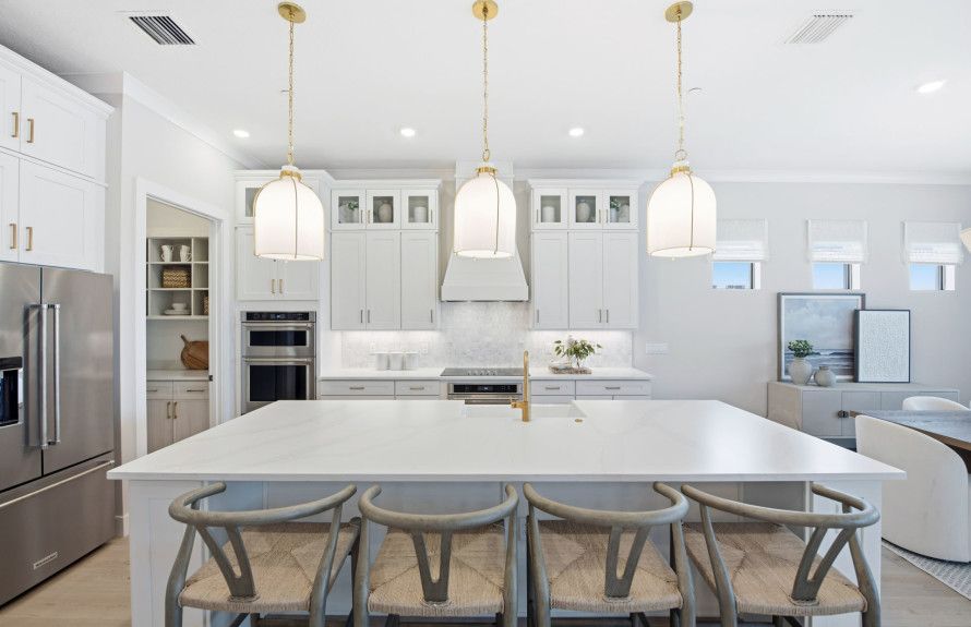 Gourmet Kitchens