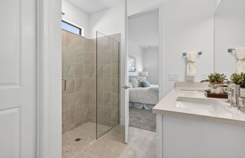 Walk-in shower in owner's bathroom