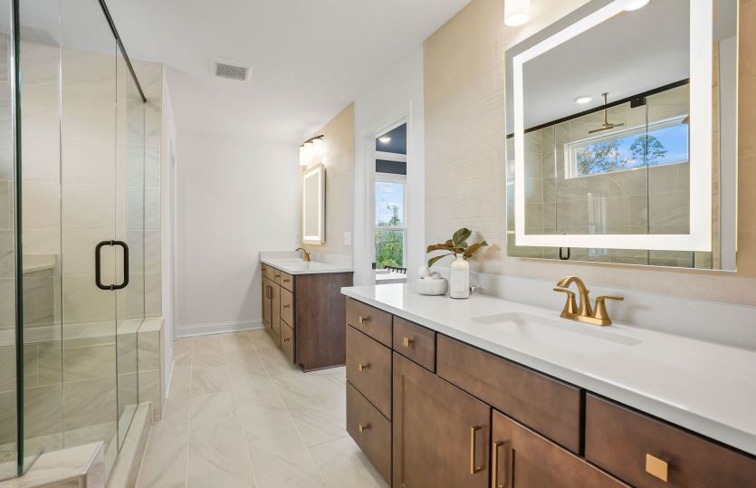 Owner's Bath