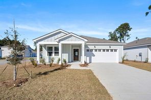 1115 Salty Hammock Court (Ibis)