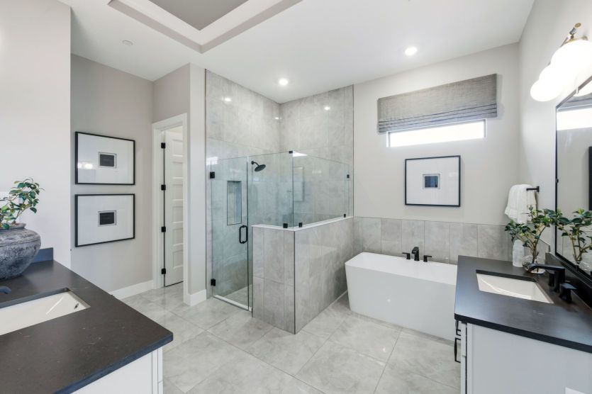 Owner's Bath