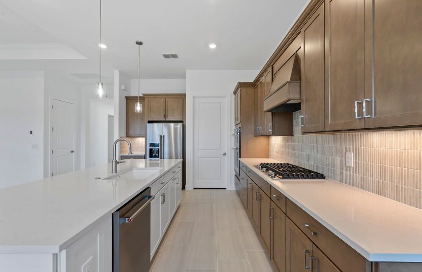 Kitchen with designer finishes