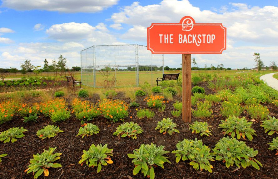 The Backstop