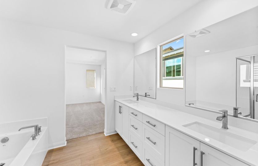 Owner's Bathroom