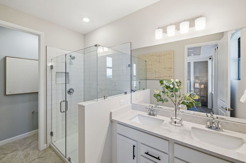 Owner's Bath