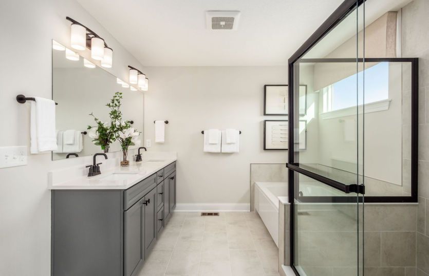 Owner's Bath
