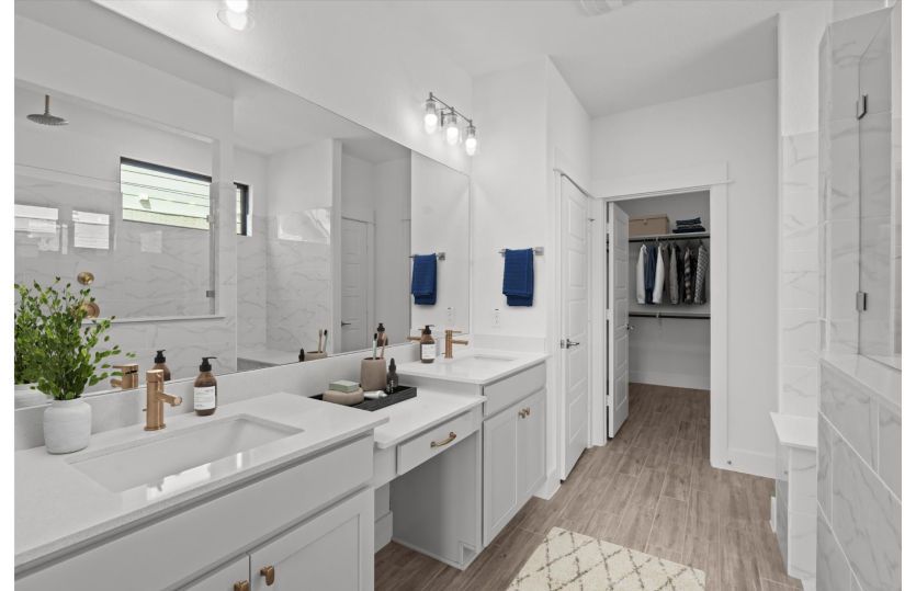 Owner's Bath