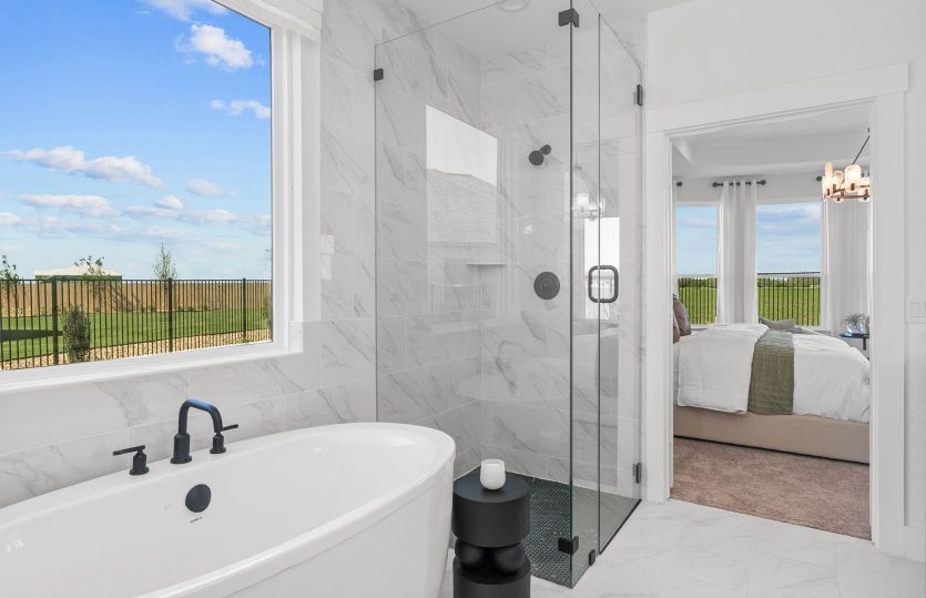 Owner's Bath
