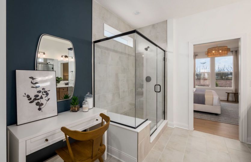 Owner's Bath