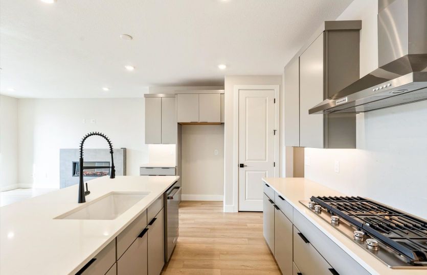 Designer Kitchen Finishes