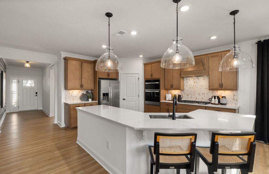 Stunning Gourmet Kitchens