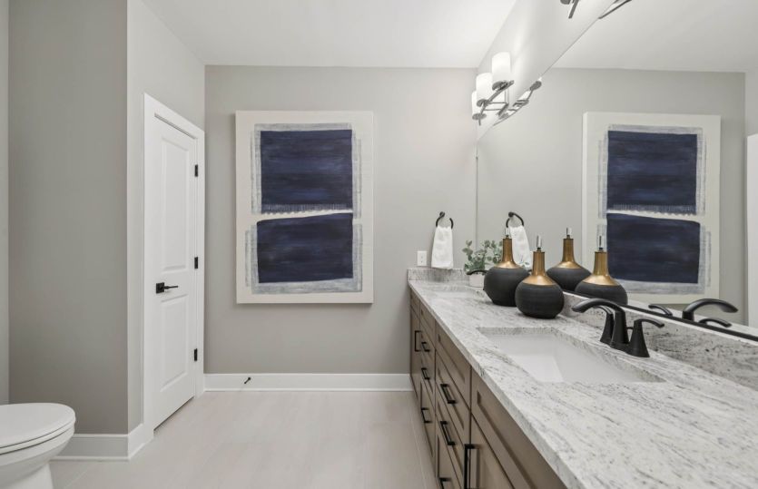 Dual-Basin Vanity in the Owner's Suite
