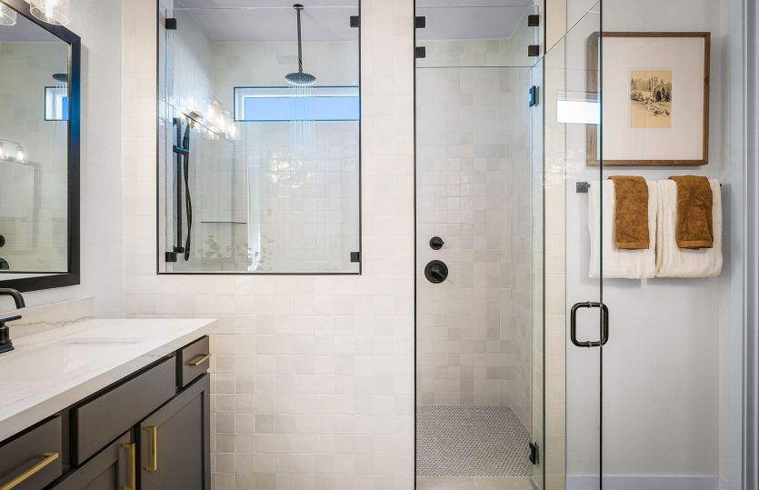 Primary Bathroom Walk-In Waterfall Shower