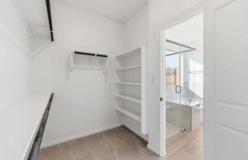 Primary Closet