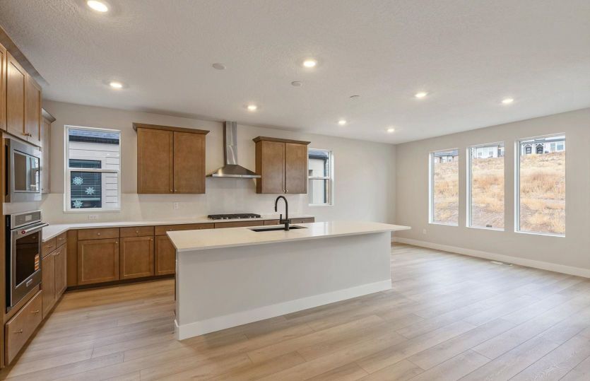 Modern Gourmet Kitchens