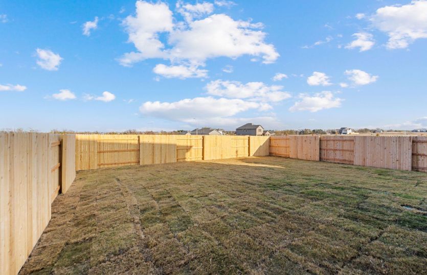 Backyard