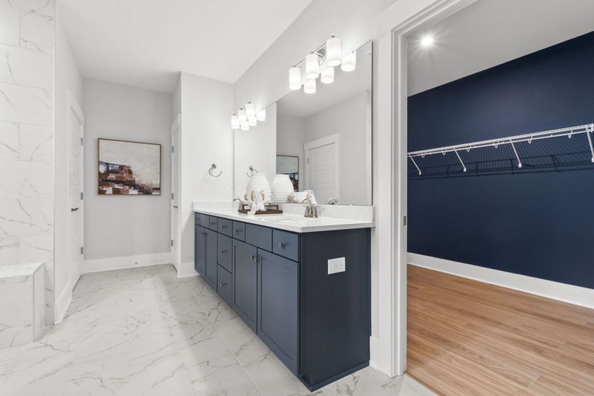 Owner's Bathroom, Model Representation