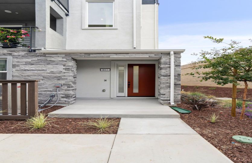 817 Wisteria Court (Plan 8)