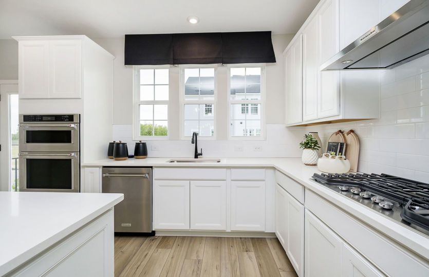 Frankton Home Design