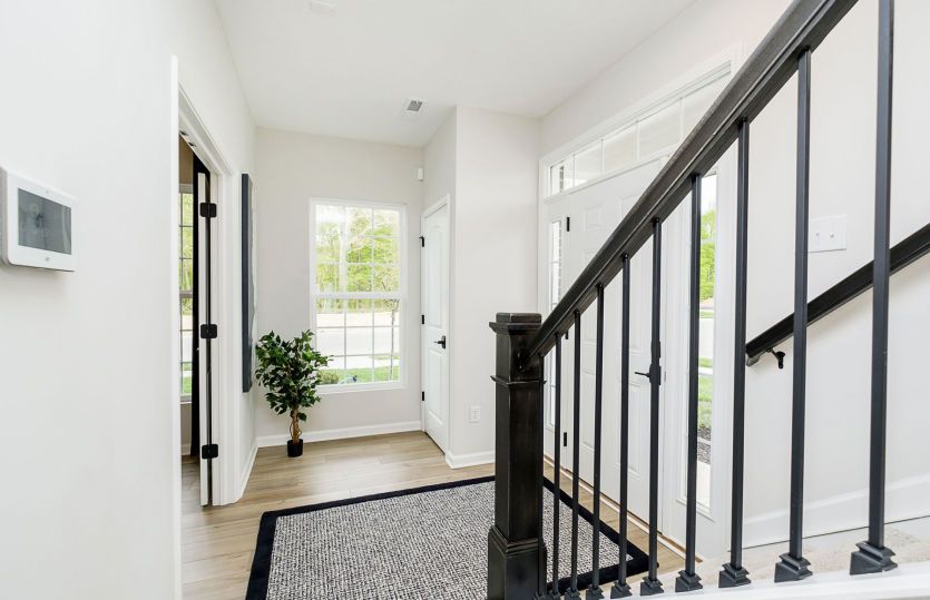 Frankton Home Design