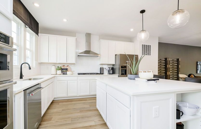 Frankton Home Design