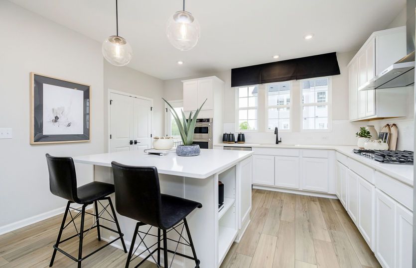 Frankton Home Design