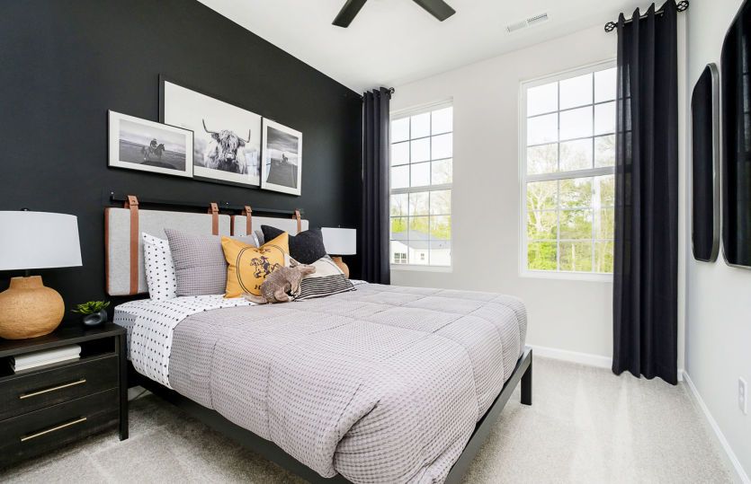 Frankton Home Design