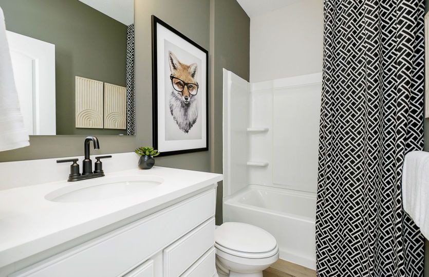 Frankton Home Design