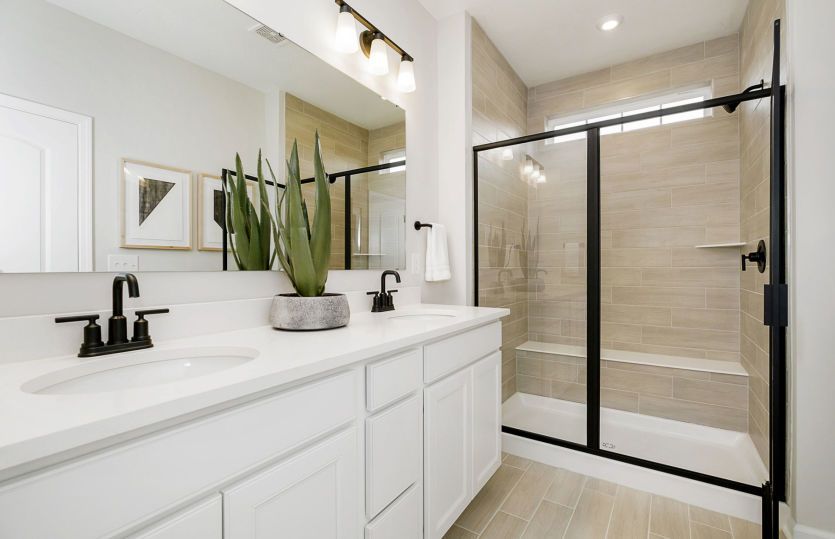 Frankton Home Design