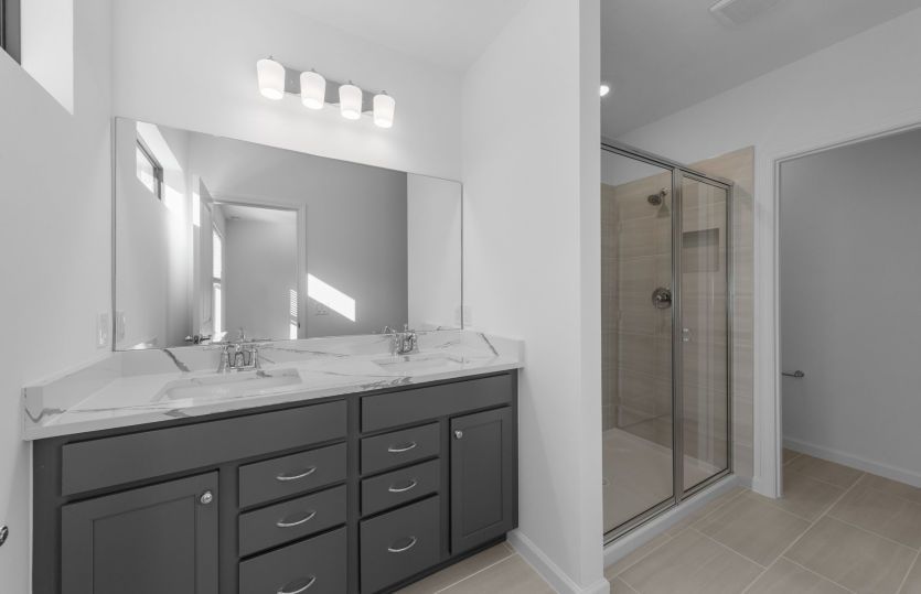 Owner's bathroom