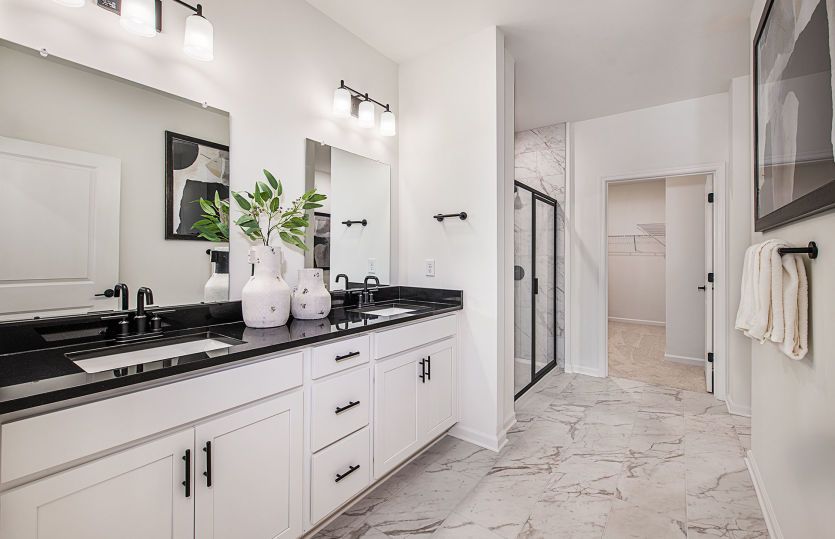 Owner's bath