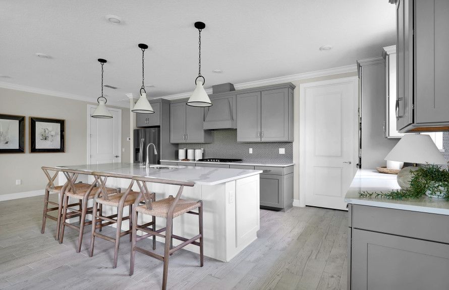Gourmet Kitchens