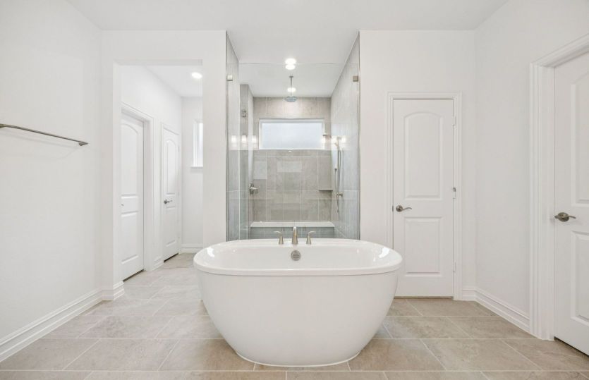 Owner's bath